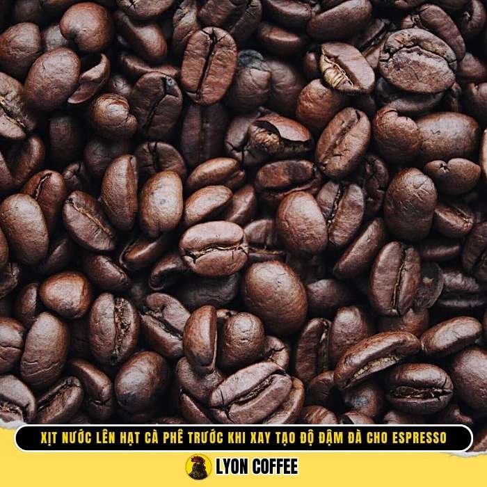 Tại sao Barista lại thực hiện xịt nước lên hạt cà phê