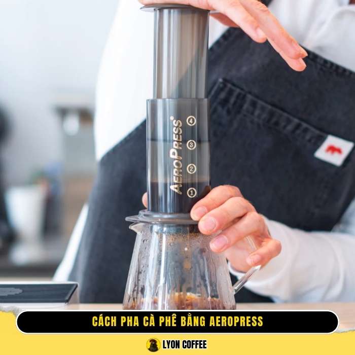 Hướng dẫn cách pha Aeropress ngon chuẩn vị