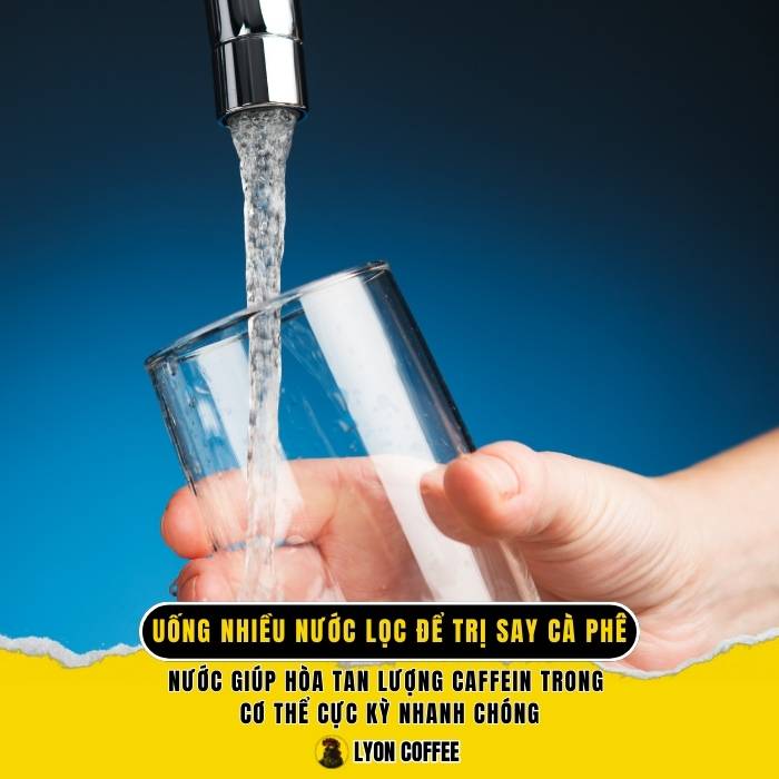 Bị say cà phê nên uống nhiều nước lọc để trị