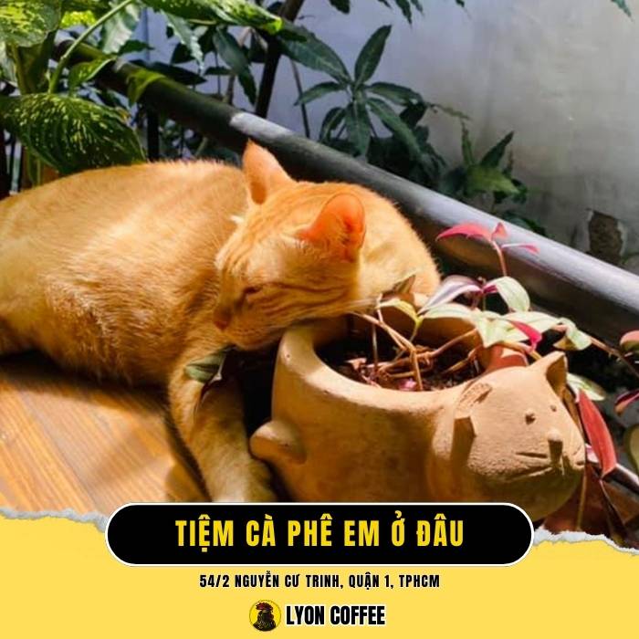 Em Ở Đâu