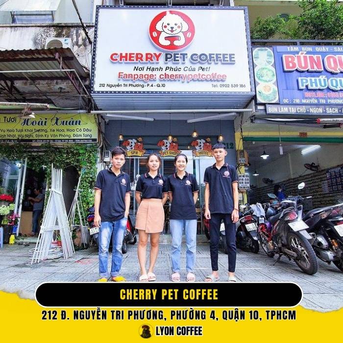 Cherry Pet Coffee - Quán cà phê chó mèo ở Quận 10 TPHCM
