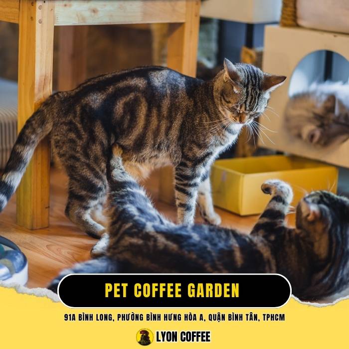 Pet Coffee Garden