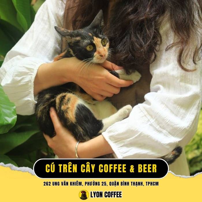 Cú Trên Cây Coffee & Beer