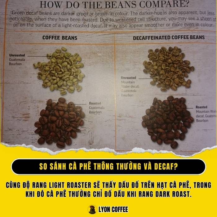 Làm thế nào để so sánh cà phê thông thường và Decaf