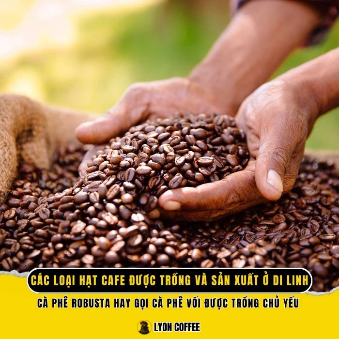 Một trong những thành tựu nổ lực của người nông dân được ghi nhận nhằm nâng cao giá trị xuất khẩu