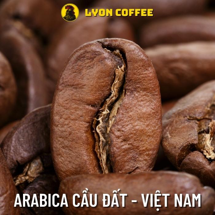 Pha cafe Cold Brew nên dùng hạt cà phê Arabica