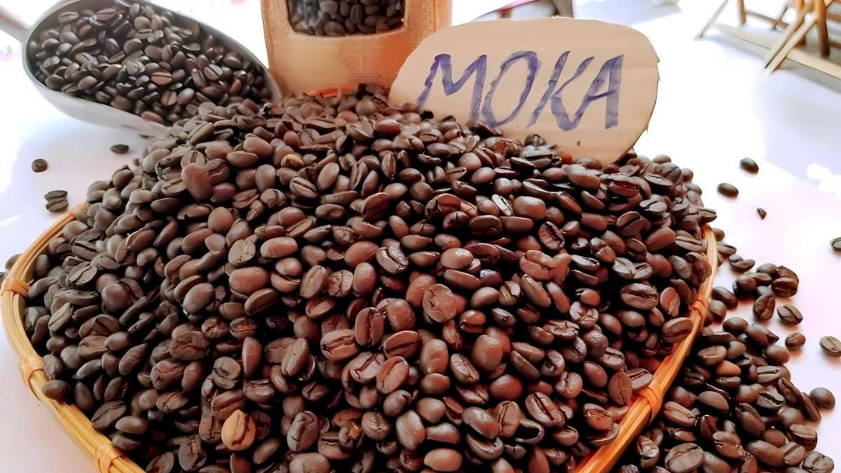 Cà phê moka có tốt không hương vị và lợi ích