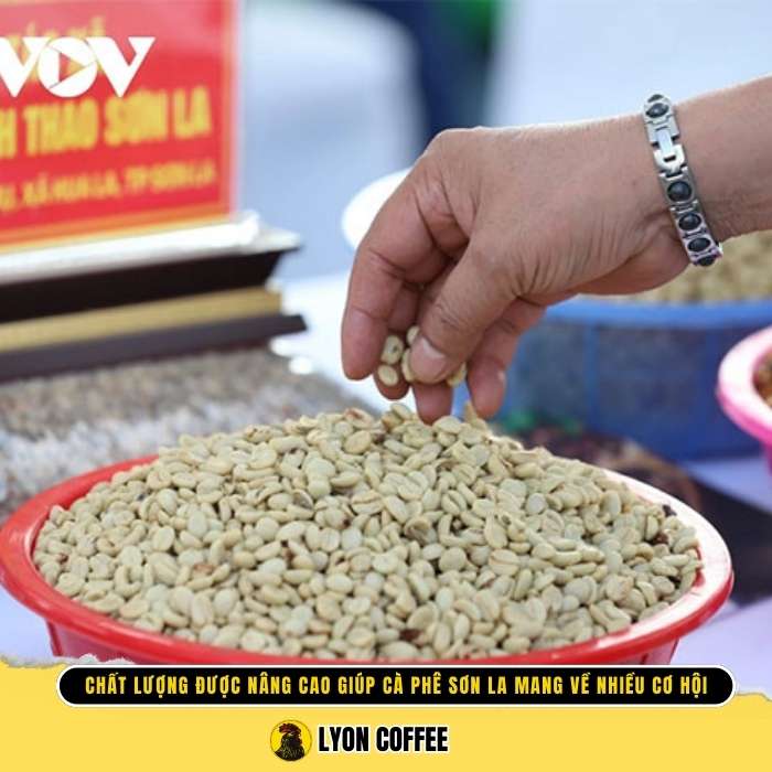 Nỗ lực và hợp tác của người nông dân Sơn La