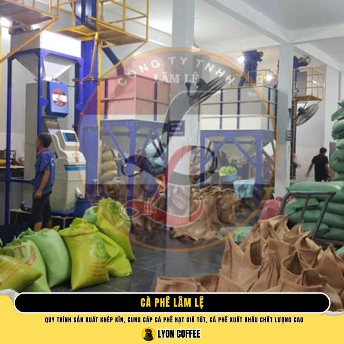 Top 5 nhà cung cấp cafe xuất khẩu uy tín tại việt nam