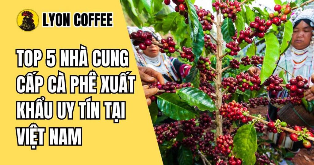 cà phê xuất khẩu uy tín