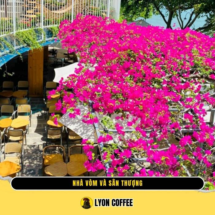 Nhà Vòm và Sân Thượng