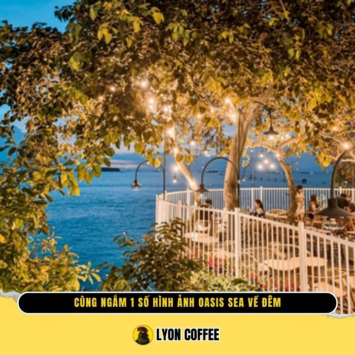 Hình ảnh quán cafe Oasis Sea Vũng Tàu về đêm