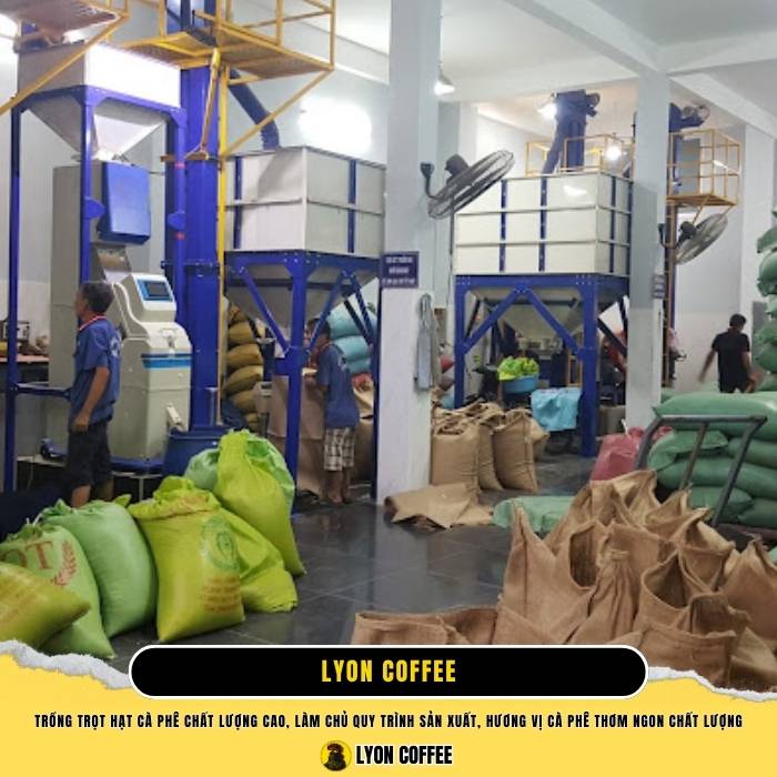 Top địa chỉ mua cà phê rang xay ngon tại Hà Nội