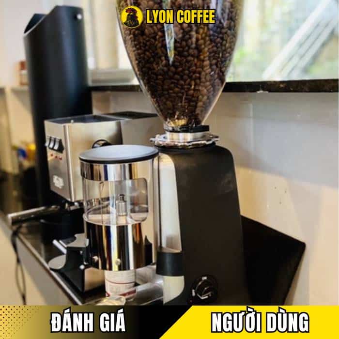Trải nghiệm và đánh giá thực tế từ người dùng