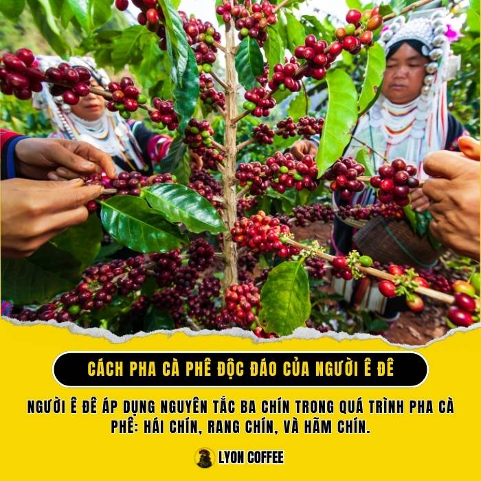 Tìm hiểu cà phê độc đáo của người Ê Đê