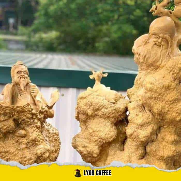 Gỗ nu cà phê có tốt không