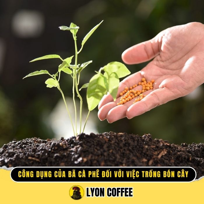 Tác dụng với việc trồng bón cây có tốt không