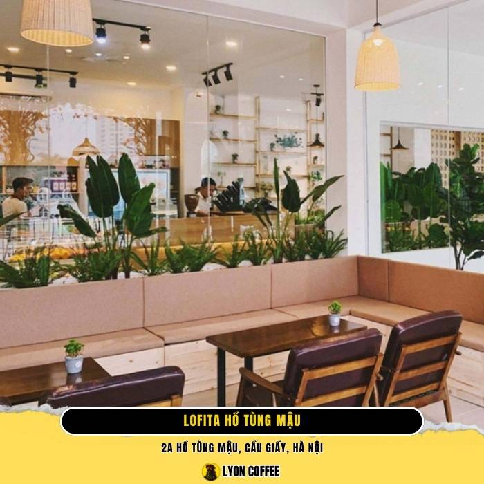 Lofita Tea & Coffee Hồ Tùng Mậu