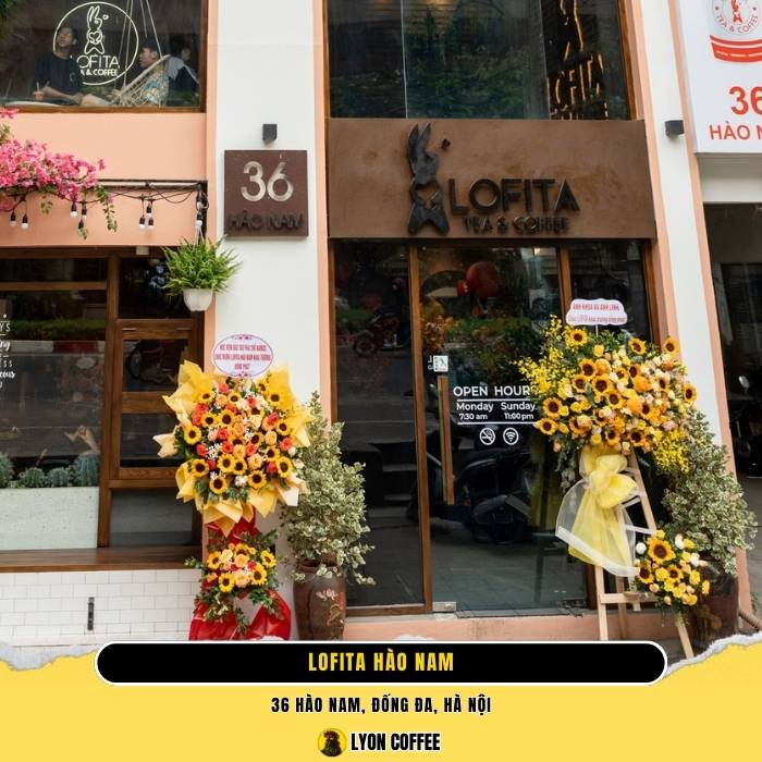Lofita Tea & Coffee Hào Nam