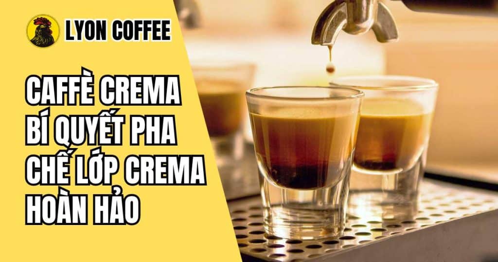 lớp crema