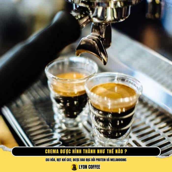 Cách hình thành lớp crema