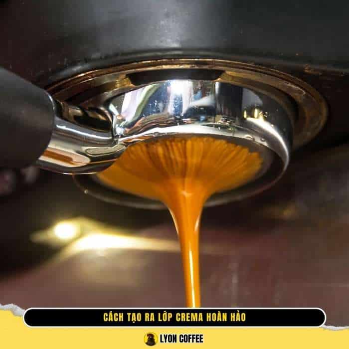 Cách tạo ra lớp crema hoàn hảo