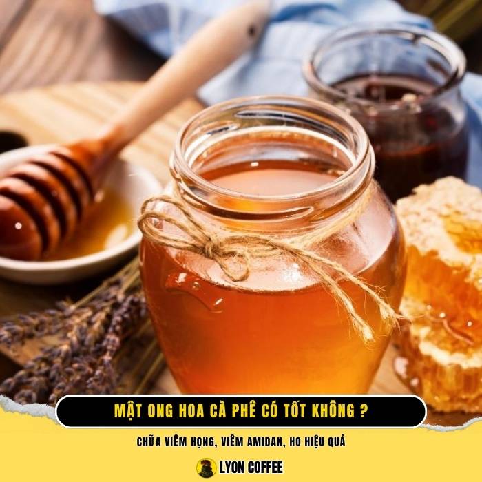 Mật ong hoa cà phê có tốt không? Công dụng, tác dụng của mật ong hoa cà phê là gì?