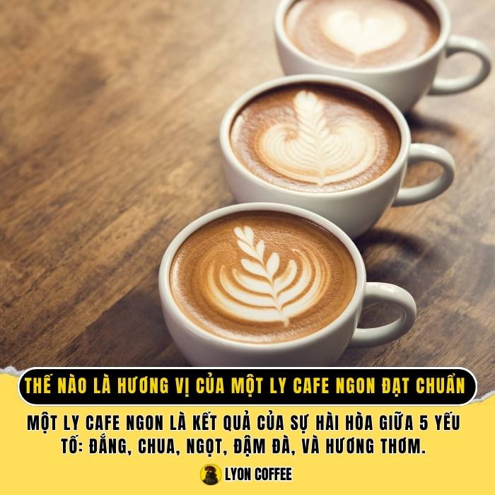 Thế nào là hương vị của một ly cafe ngon đạt chuẩn