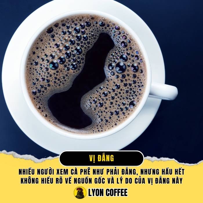 Vị đắng - Miêu tả 5 hương vị của cafe
