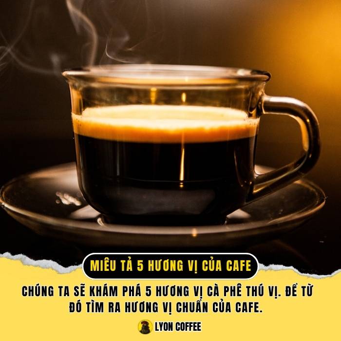 Miêu tả 5 hương vị của một ly cà phê ngon đạt chuẩn