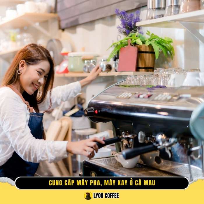 Thương hiệu uy tín khi mua máy pha cafe, máy xay cà phê ở Cà Mau