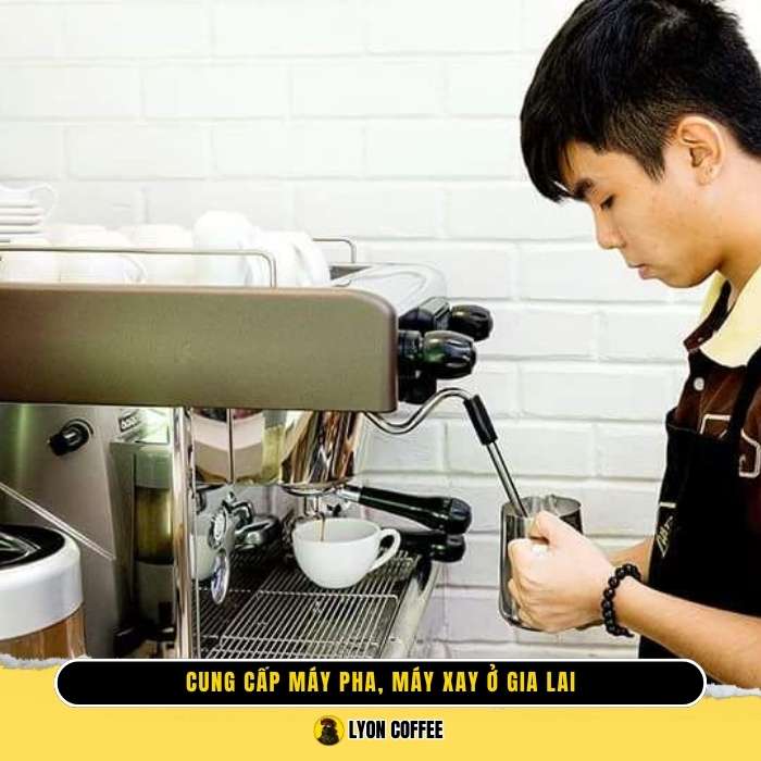 Chính sách mua máy pha cafe, máy xay cà phê tại Gia Lai