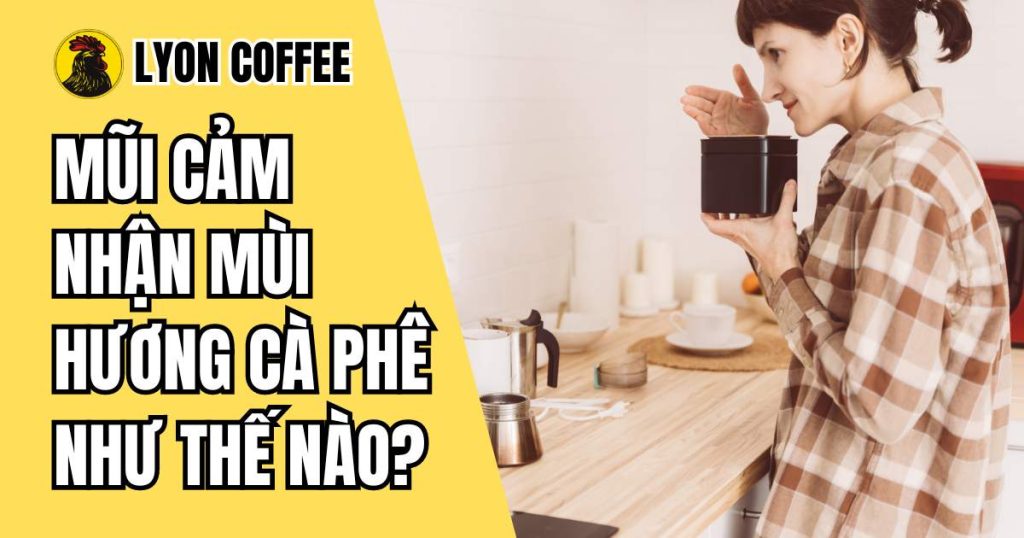 Mũi cảm nhận mùi hương cà phê như thế nào