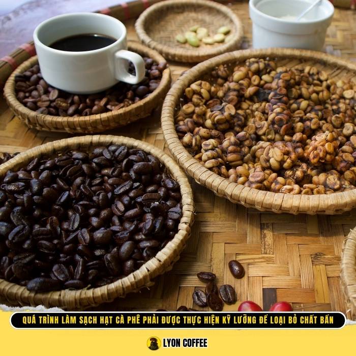 hàm lượng chất béo trong loại cà phê