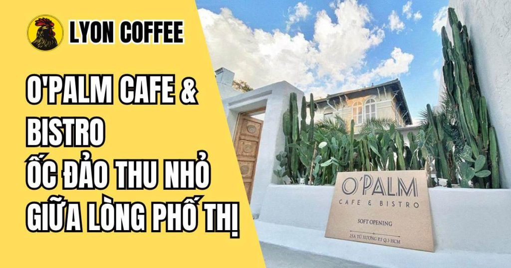O'Palm Cafe