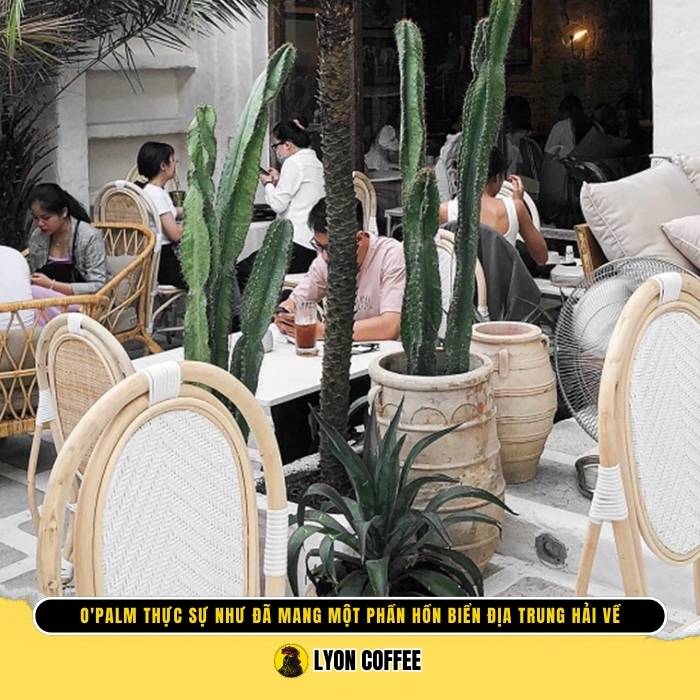 Địa chỉ và thông tin liên hệ O'Palm Cafe & Bistro