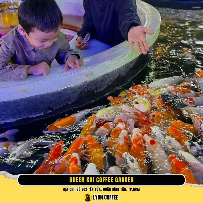 Top những quán cafe cá koi ở Bình Tân Sài Gòn