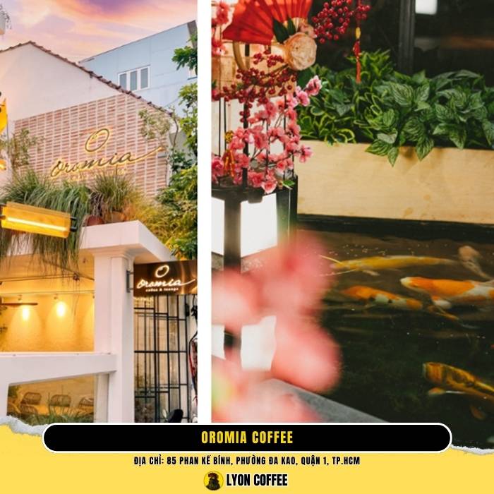 Top những quán cafe cá koi ở quận 1 Sài Gòn