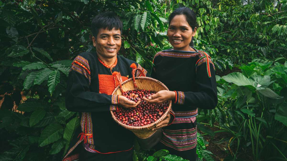  Tương lai bền vững cà phê Việt Nam
